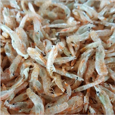 麦杆虾烘干虾米 虾壳一箱20斤干货淡水河虾丹东特产出口海鲜批发图2