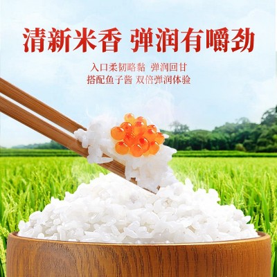 正宗东北长粒香米10斤当季新米东北大米5kg粳米农产品批发非真空图2