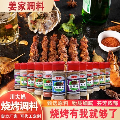 烧烤料组合腌制炖卤油炸烧烤辣椒孜然五香椒盐粉家用瓶装调味撒料