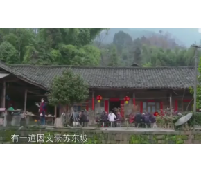 美食中国的美食都不仅限在口感上 东坡肉也是