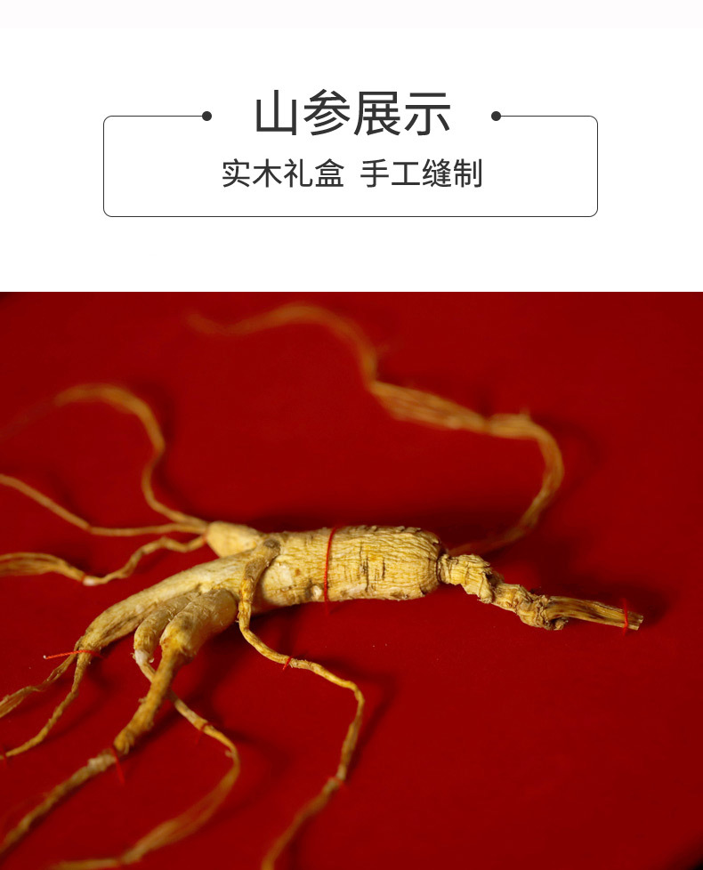 山参_04.jpg