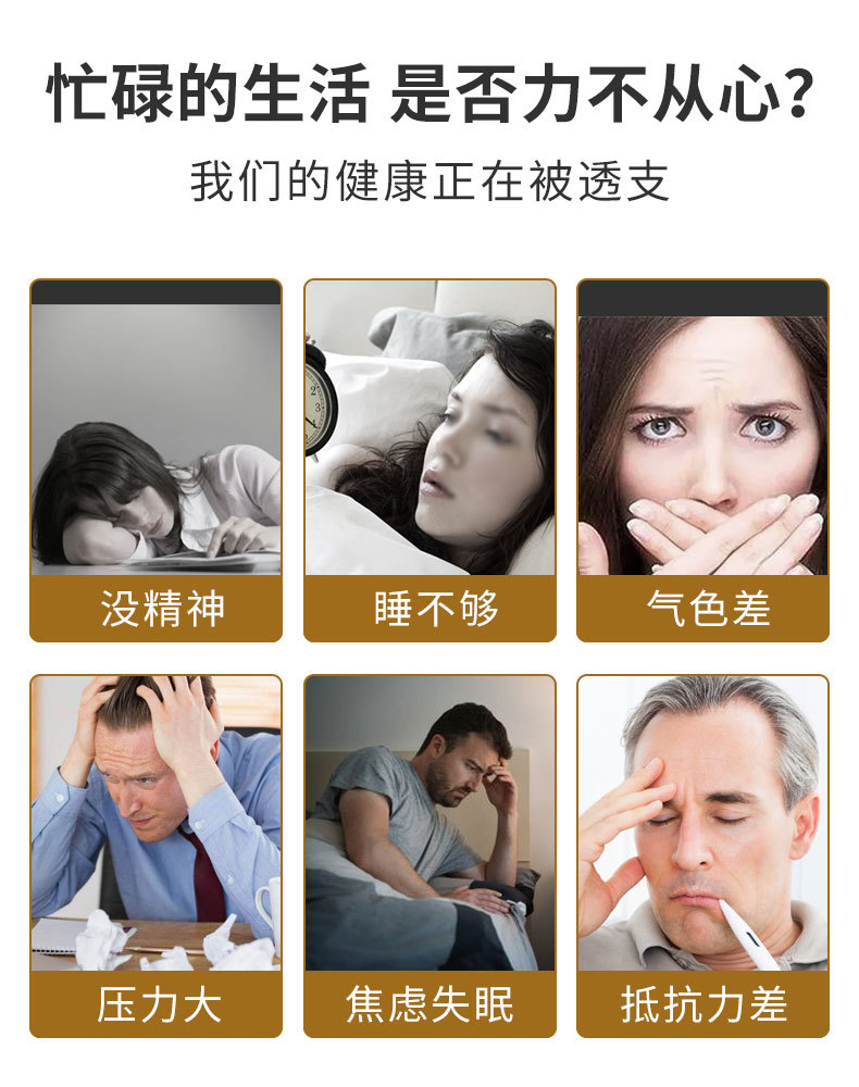 红参_03.jpg