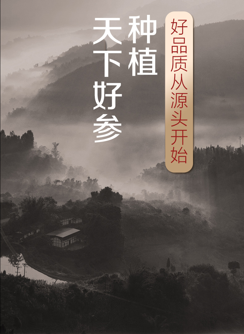 高丽参详情页_04.jpg