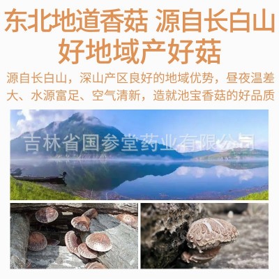 【一件代发】香菇干货源头厂家菌菇散装椴木香菇干香菇批发小香菇图2