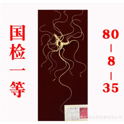 长白山野山参东北人叁移林下参干人参人生干礼盒泡酒国检证书送礼