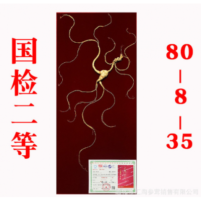 长白山野山参东北人叁移林下参干人参人生干礼盒泡酒国检证书送礼图2