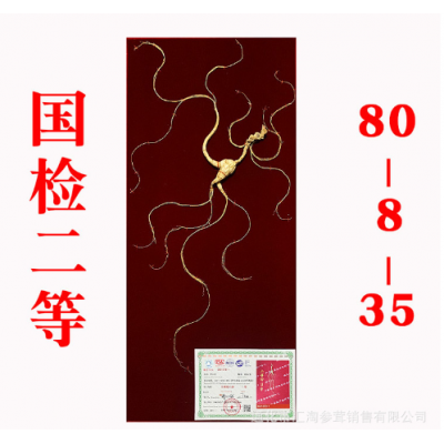长白山野山参东北人叁移林下参干人参人生干礼盒泡酒国检证书送礼图4