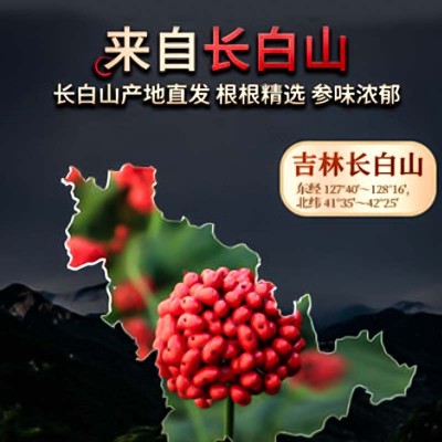 长白山产地批发特产光枝白参人参白全须送礼500克6年泡酒煲汤白参图2