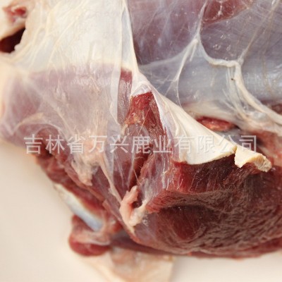 新鲜梅花鹿肉冻鹿肉 东北吉林特产 大块鹿肉鲜鹿肉鹿场批发图4