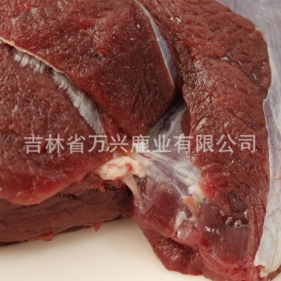 新鲜梅花鹿肉冻鹿肉 东北吉林特产 大块鹿肉鲜鹿肉鹿场批发图5