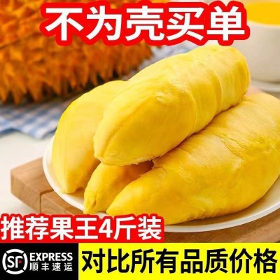 当季水果 直发榴莲顺丰冷链A级金枕肉干包树熟冷冻肉应批发无壳图4