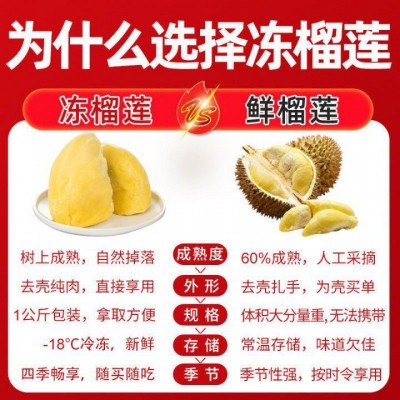 当季水果 直发榴莲顺丰冷链A级金枕肉干包树熟冷冻肉应批发无壳图3
