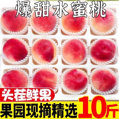 阳山水蜜桃水果现货3/5/10斤新鲜当季桃子现摘脆甜毛密桃批发包邮图5