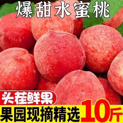 阳山水蜜桃水果现货3/5/10斤新鲜当季桃子现摘脆甜毛密桃批发包邮图3
