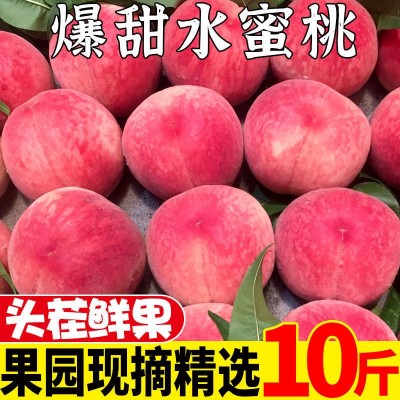 阳山水蜜桃水果现货3/5/10斤新鲜当季桃子现摘脆甜毛密桃批发包邮图4