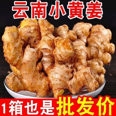 生姜小黄姜云南新鲜现挖新鲜现挖老姜嫩姜仔姜姜整箱批发一件批发图3