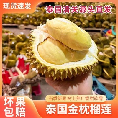 当季水果 直发榴莲新鲜金枕孕妇整个带壳网红巴掌包邮厂家批发图2