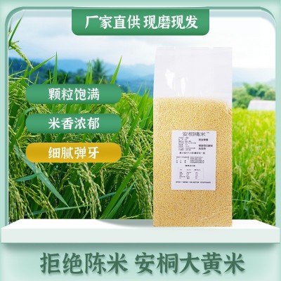 东北杂粮大黄米现货现发新米源头厂家杂粮米真空包装非小黄米