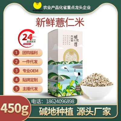 【碱不落】单氏米业薏米450g真空包装新货五谷杂粮贵州小薏米散装图2