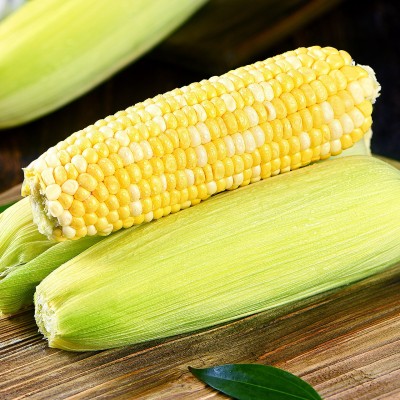 云南 水果玉米 新鲜9斤现摘带皮棒子生吃甜嫩爆浆蔬菜整箱包邮图3