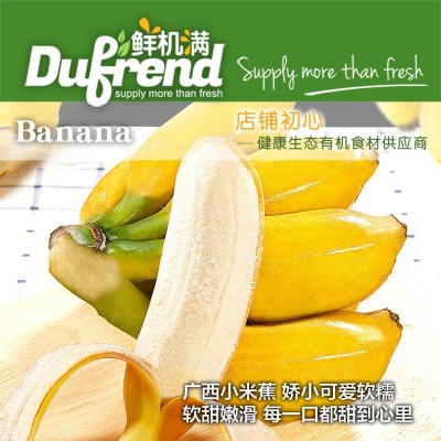 天宝自然熟香蕉5斤17-22根甜香蕉新鲜小米蕉软糯香甜新鲜时令水果