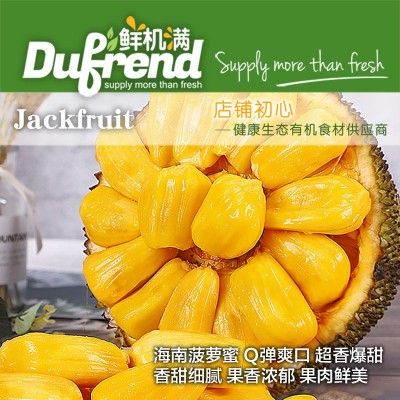 海南菠萝蜜果园当季特产木菠萝整箱35斤整个包邮新鲜水果黄肉老树