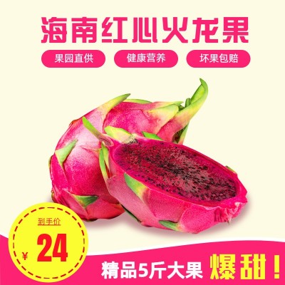 海南 金都一号 红心火龙果 蜜宝 现摘现发5斤新鲜包邮产地直发图2