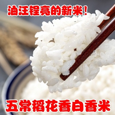 五常大米批发稻花香白米丑米厂家批发源头货源稻花香色选米批发图3