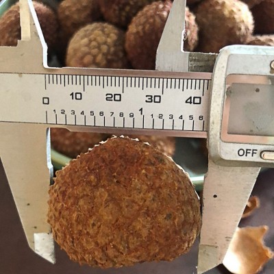 新货荔枝干2023年广西鸡嘴荔枝干果 壳薄肉厚小籽 荔枝干果现货图3