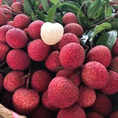 海南妃子笑白糖罂荔枝5斤新鲜水果当季包邮桂味荔枝图4