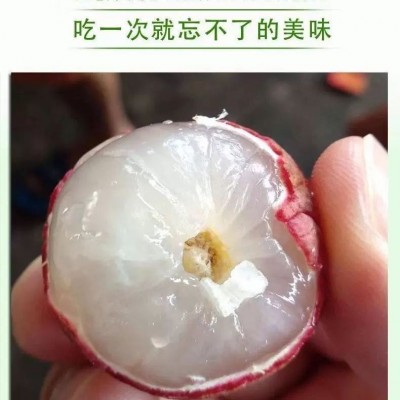 海南妃子笑白糖罂荔枝5斤新鲜水果当季包邮桂味荔枝图2