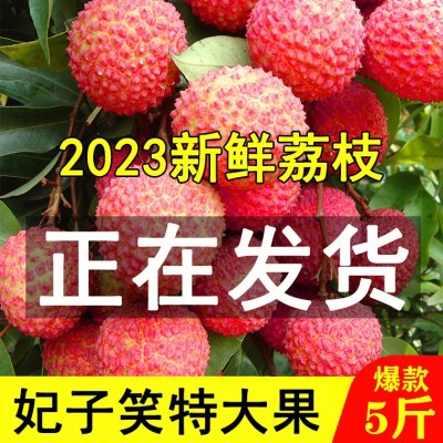 海南妃子笑白糖罂荔枝5斤新鲜水果当季包邮桂味荔枝图5