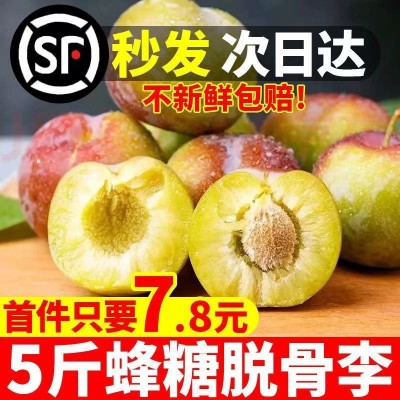 李子 青脆李现货速发四川脱骨红茵红李青土空心甜一件代发独立站图3
