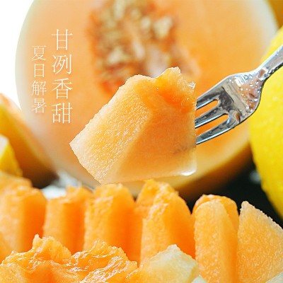 甘肃民勤蜜瓜3斤/6斤/10斤沙漠黄金蜜瓜甜瓜应季新鲜水果产地直发图2