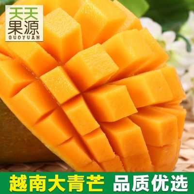 产地货源越南大青芒5斤装大金煌大芒果核薄新鲜时令水果一件代发