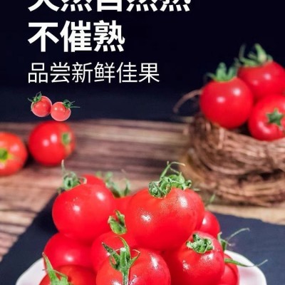 千禧果基地新鲜圣女果脆甜可口水果图4