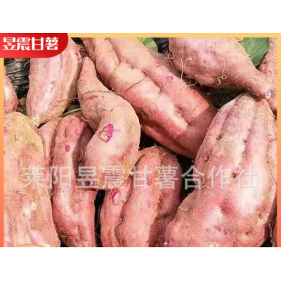 烟台基地供应 5斤糖心黄薯 农家黄心香甜可口香烤地瓜