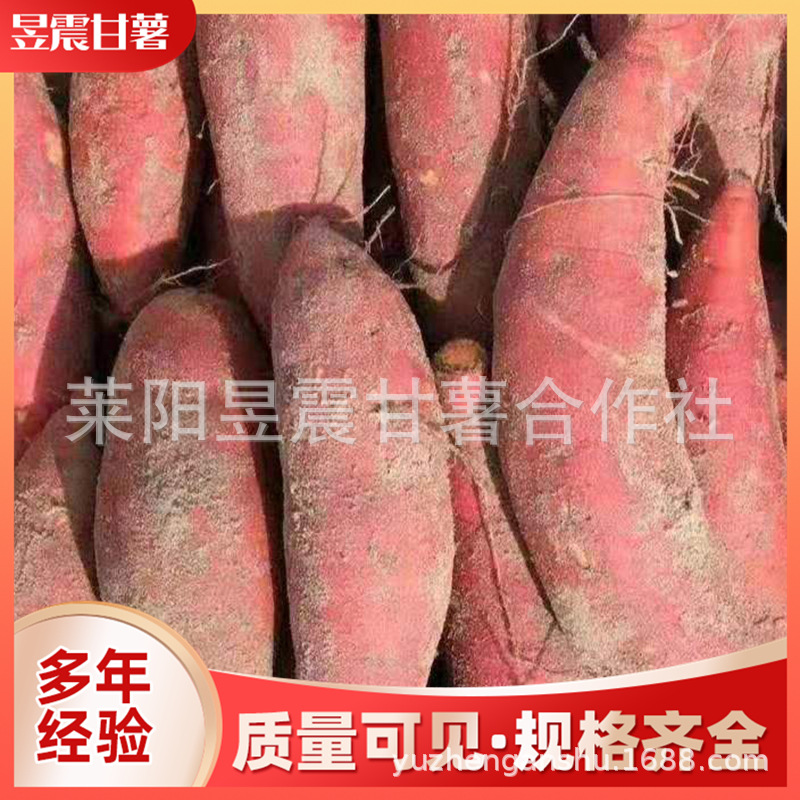 微信图片_20191114100628.jpg