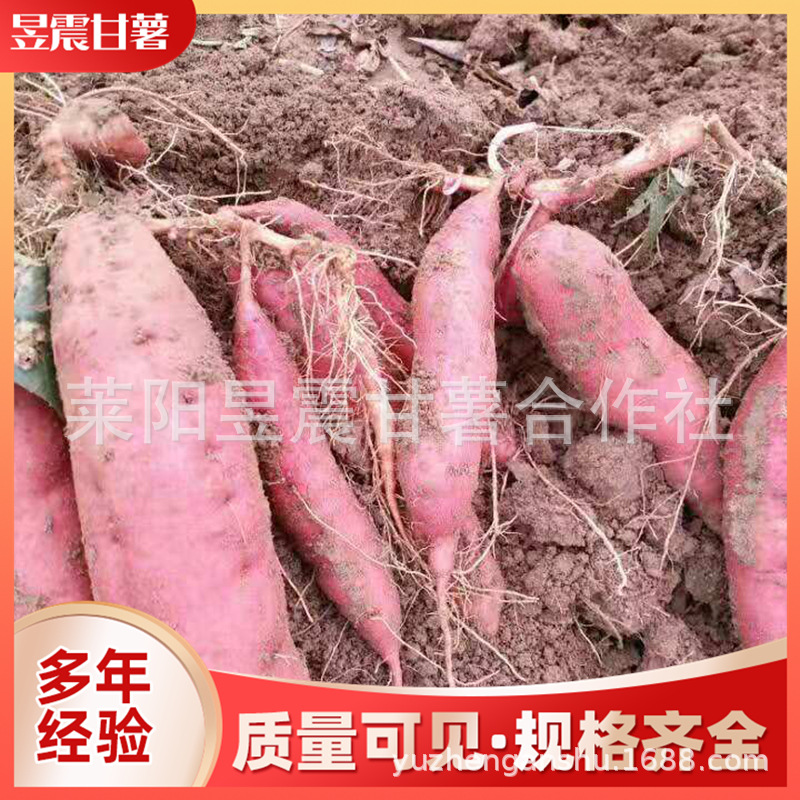 微信图片_2019111410062925.jpg