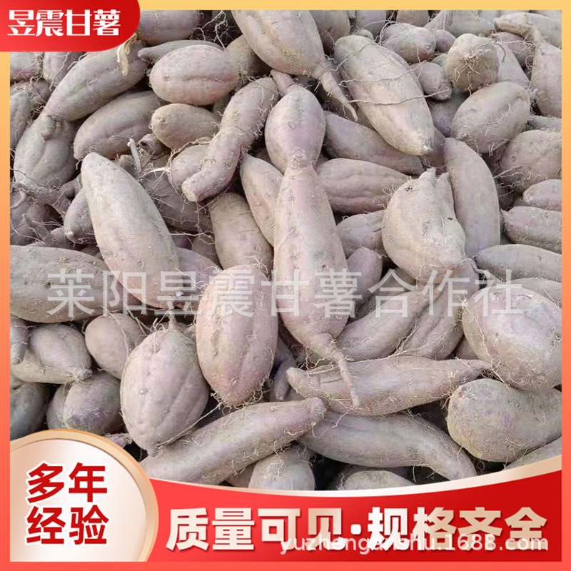 微信图片_201911121442151.jpg