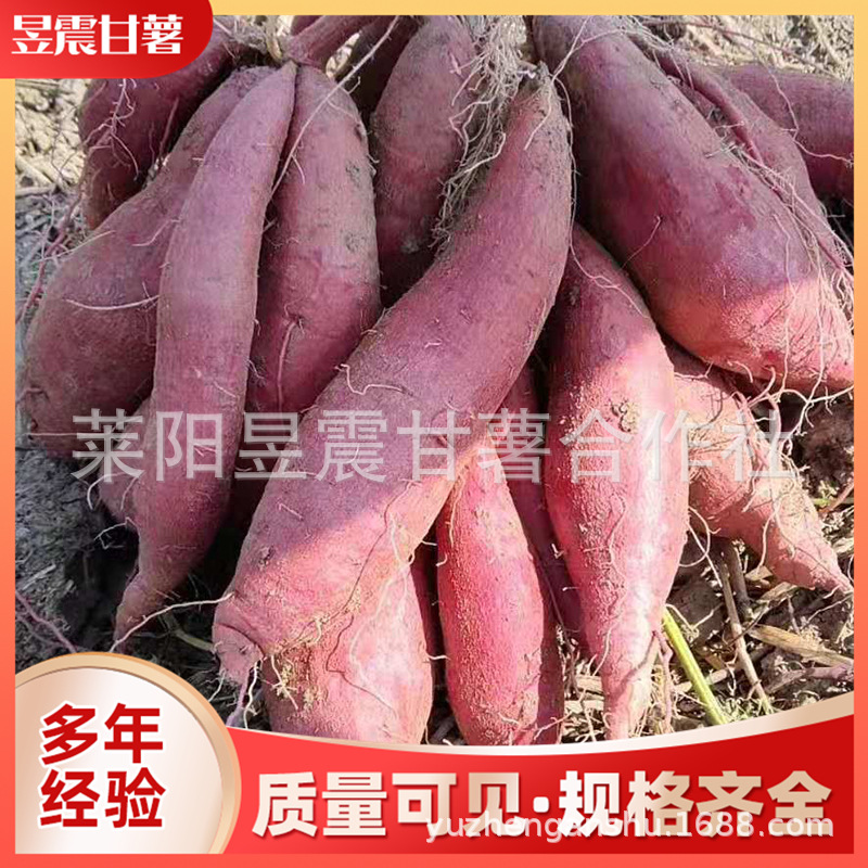 微信图片_20191112144215.jpg