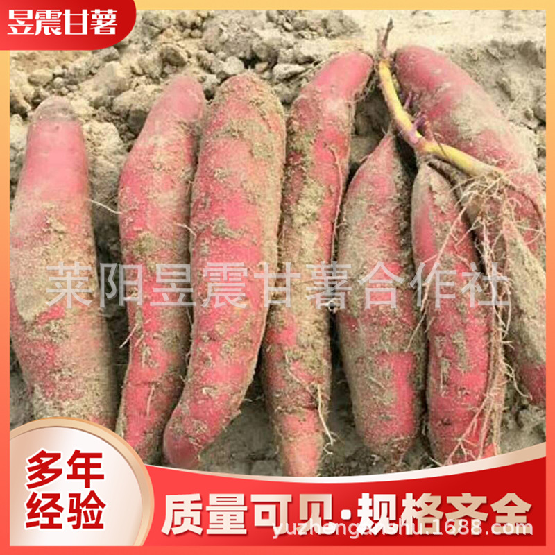 微信图片_201911141006281.jpg