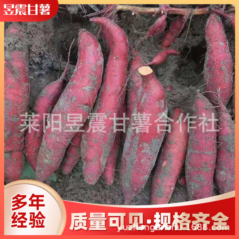 微信图片_201911121442153.jpg