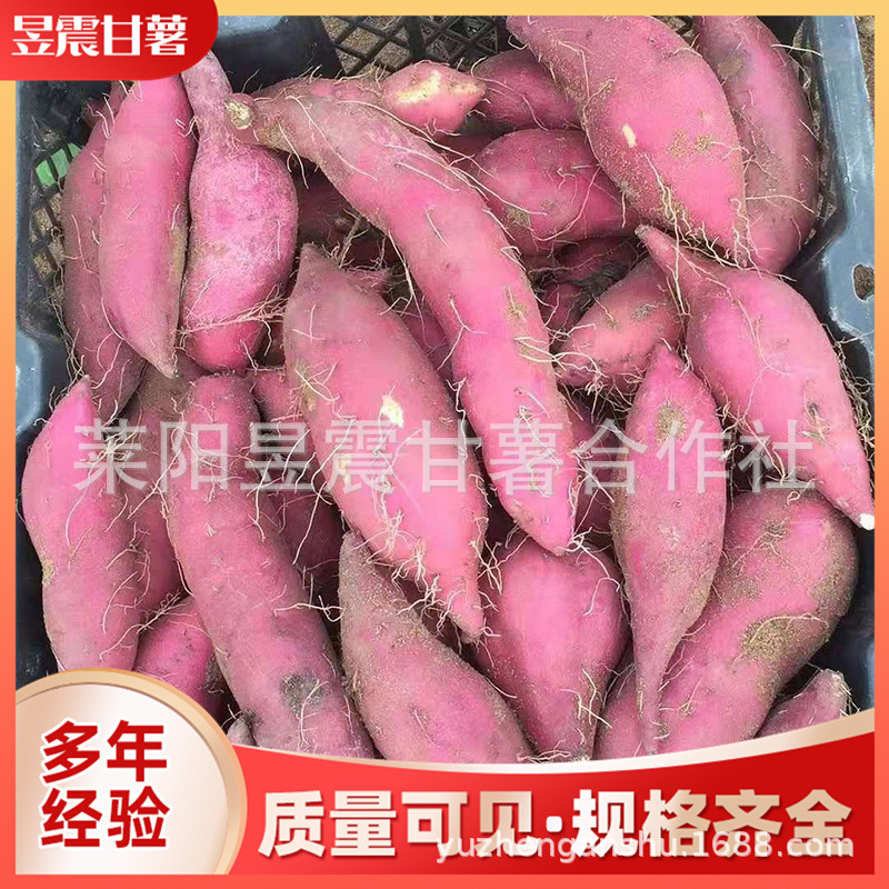 微信图片_201911121442154.jpg