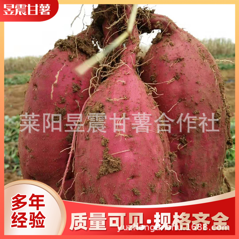 微信图片_2019111410062844.jpg
