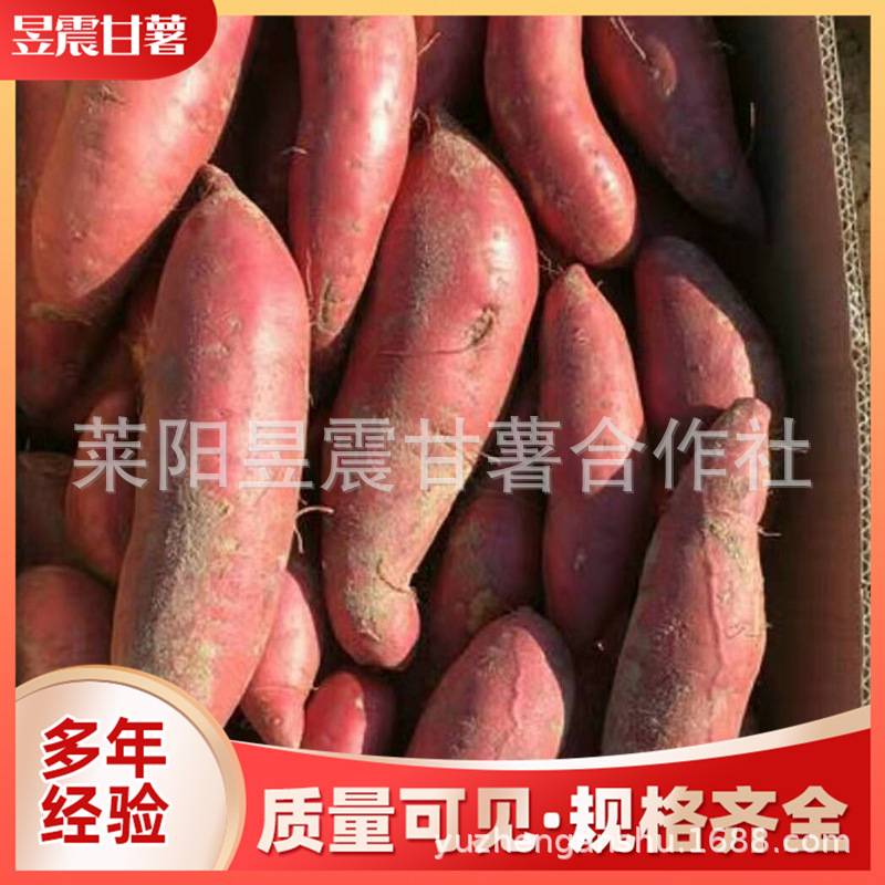 微信图片_20191114100628.jpg