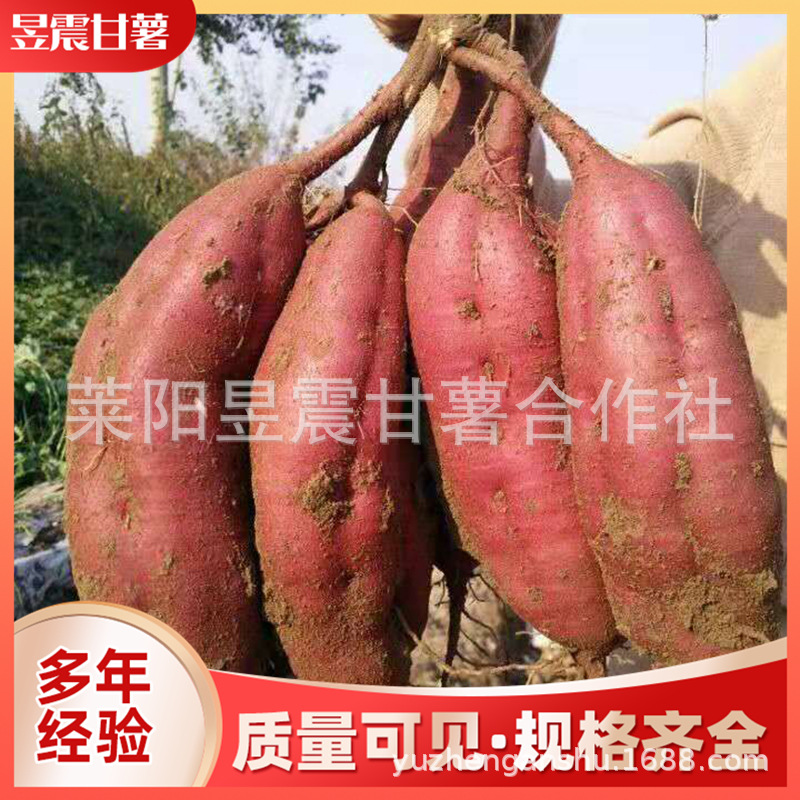 微信图片_2019111410062926.jpg