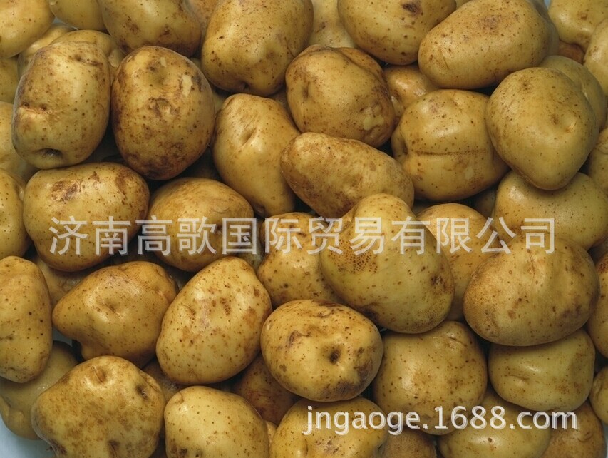 QQ图片20140704090355