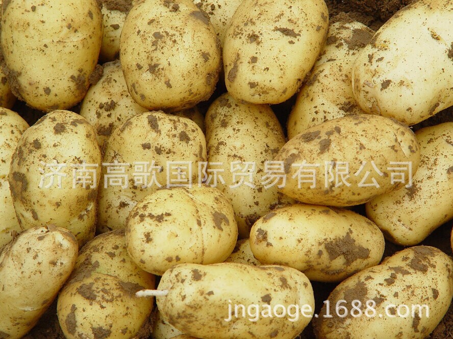QQ图片20140704090347