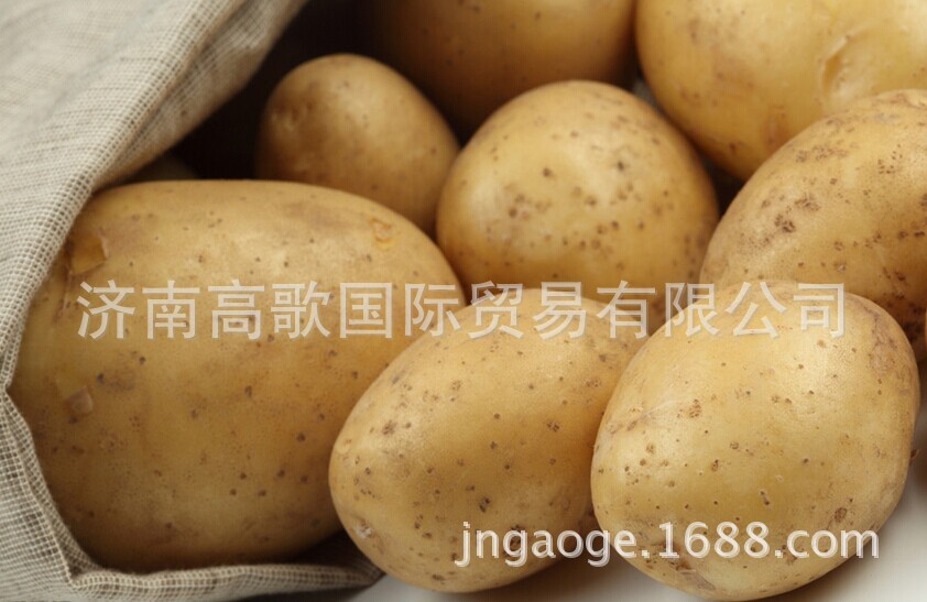 QQ图片20140704090353
